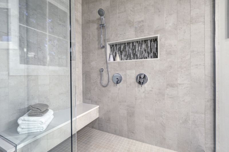Elegant Shower Niche Designs